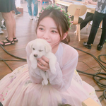 [EXO] 어그로 가족 아침마다 <b>설사</b>병으로 고통받길