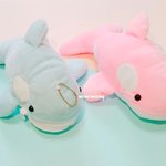 [추반꼭꼭] <b>필통</b> 추반 꼭해죠ㅠㅠㅠㅠ