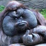 [댓글부탁해] 아 짜증나 남미 ㅅㄲㅈ ㅣ낮 ㅠㅠㅠ