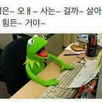 [제발병먹금] <b>지진</b>나서 같이 죽자는 글
