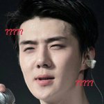 [EXO] 미니 엑소 키우기 vs 이대로 살기