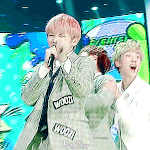 [세븐틴] 1년전 오늘 <b>탄생</b>한 짤