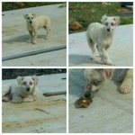 [동행세상] <b>쥐약</b>을 놔 죽인다던 귀염이와 둥이.