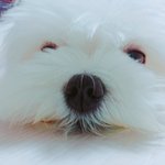 [댓글부탁해] 판에서 <b>남혐</b> 심한 것 같지 않아??