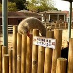 얘들아 나지금조카<b>폐인</b>인데 썸남만난거같다 어떡하지