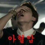 [이삐] 와 ㅇㄱㄹ 게시물이란 게<b>시물</b>에 다 댓달고 다녀