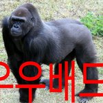 [드루와] 초딩오픈채팅<b>링크</b>뿌림ㅋㅋㅋㅋㅋ