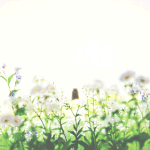 나 오늘 친구때문에 울었어