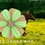 [조언부탁해] 나 안경 써야돼?? (<b>요약</b>있