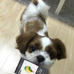 [방탄소년단] 헤이 <b>미키</b>!!!!!!