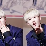 [세븐틴] <b>캐럿</b>들 러브유~