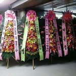 젝키 콘서트를 대하는 와쥐 식구들 (<b>Feat</b>. 키스가 하고 싶어요)