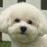 [EXO] 주위에아무것도없는 <b>허허벌판</b>이답인데