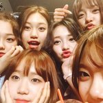 솔직히 니네들