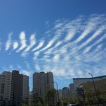 이거 <b>지진</b>운인가요