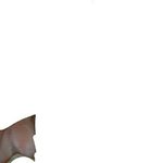 <b>잇몸</b>혐)<b>잇몸</b> 이거 무ㅗ냐