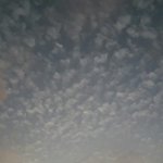 [지진] 대지진, 국민들이여 꼭 읽어줘