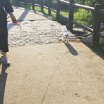 작은생명들을 보듬지 못하는 사람들