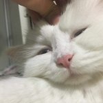 [댓글부탁해] 오늘 왤케 <b>다</b>서럽냐 <b>위</b>로좀