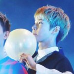 [NCT] <b>풍선</b>, 도영 그리고 토끼