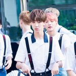 [세븐틴] 톱뉴 기사에 명호있얼