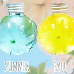 [개깊은빡침] 해외직구쇼핑몰 까*디자인 너무 최고다; 강추강추!...