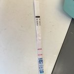 [방탈죄송] <b>배란</b>테스트기 봐주세요 제발!