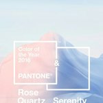 [세븐틴] 플레디스야 이 글 공카에 복붙해 얼른