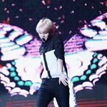 [백현] 나비<b>소년</b> 백현