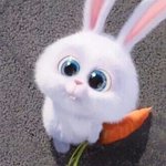 오렌즈 <b>1+1</b>있잖아