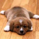 [댓글부탁해] <b>얼굴</b>사진이 베톡됬을<b>때</b> 덧글특징
