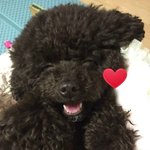 항상 이렇게 미소짓길!