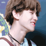 [EXO] 헛웃음치는변백현 <b>vs</b>