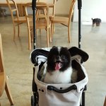 내겐 <b>울</b><b>애기</b>가 레전드 ㅋㅋ