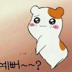 에비<b>츄</b>