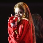 [존예<b>보스</b>] 헐 티아라 지연 개이뻐짐