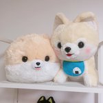 [댓글부탁해] <b>팩트</b>랑 쿠션이랑 다른게 뭐야?