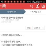 이런글 대체 왜씀?