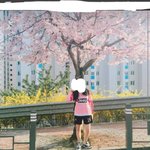 [댓글부탁해] 분홍색 축구 <b>반티</b>