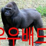 [나만충] 얘들아 근데 나만...