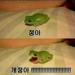 [댓글부탁해] 너네들 지금까지 <b>친구</b>들한테 해줬던 생일<b>선물</b> 자랑해보자!