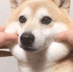야ㅑ야야나 <b>남소</b> 첨받았는데ㅠㅠ