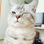 [댓글부탁해] 자기자신 <b>실물</b> 보는법 없어?ㅜㅜ