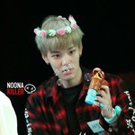 [BAP] 주농이 봐
