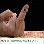 ㅎ공부하니까 왜살지 싴ㅍ다