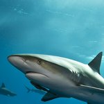 어떡하지 밖에서 <b>비명</b>소리 ㅈㄴ남