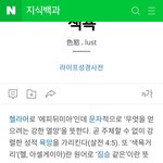 [방탄소년단] <b>색욕</b> 뜻