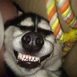 <b>내</b><b>몸</b>이개가되고잇어