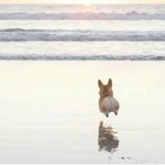 [시우민] <b>밑</b>밑에 어그로글 클릭노노>.<