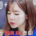 [소녀<b>시대</b>] 정화